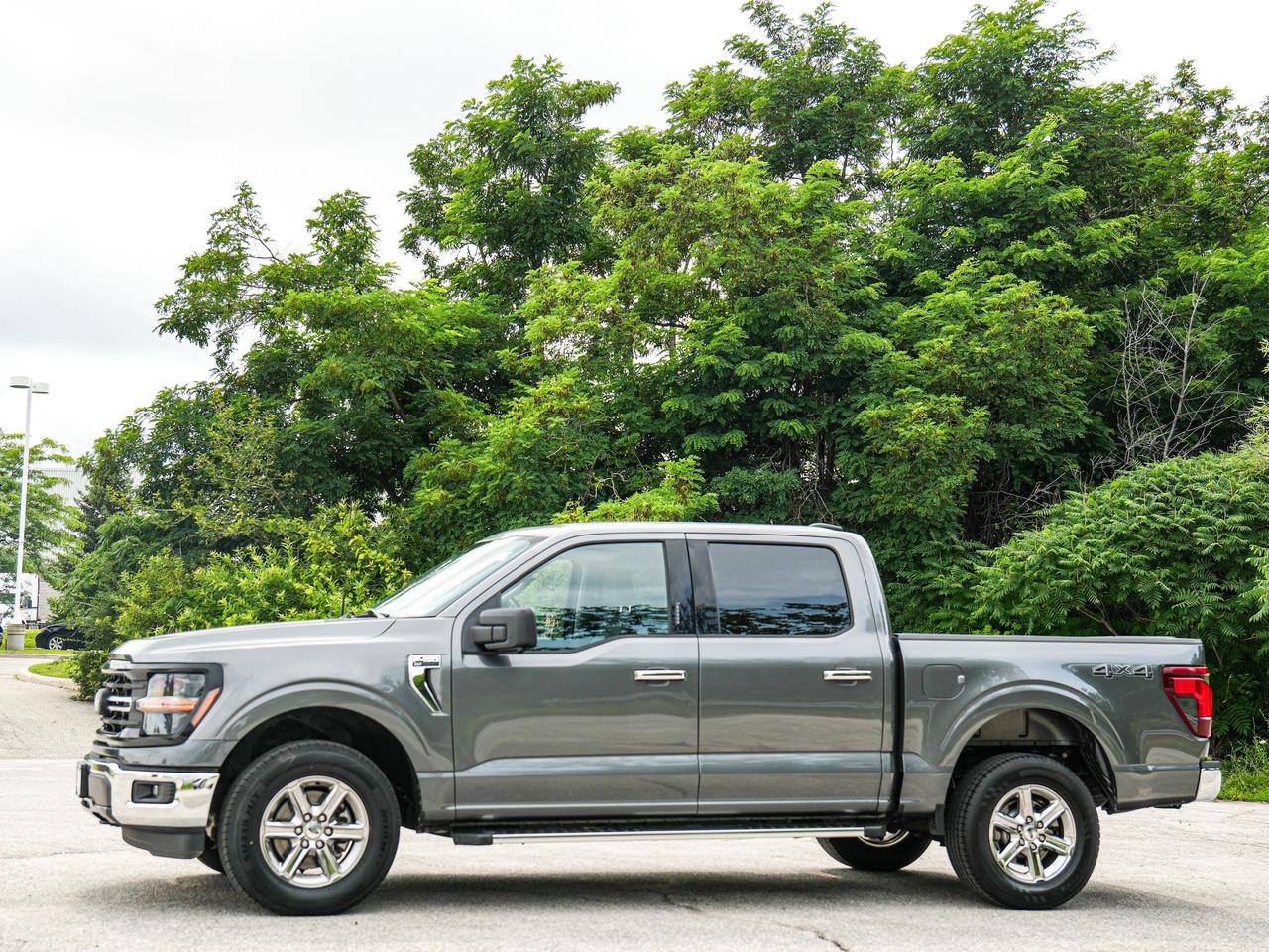2024 Ford F-150 XLT Photo