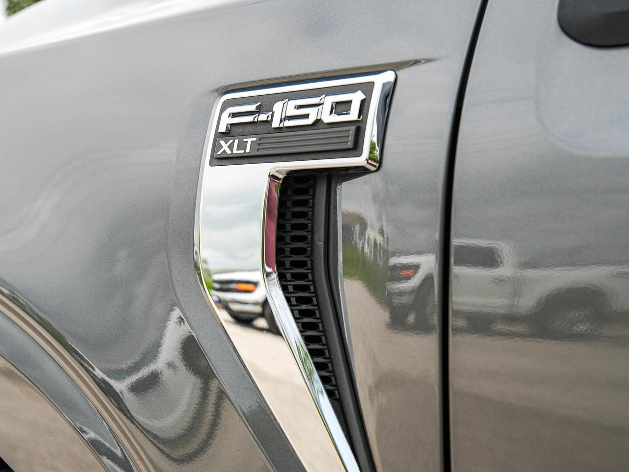 2024 Ford F-150 XLT Photo