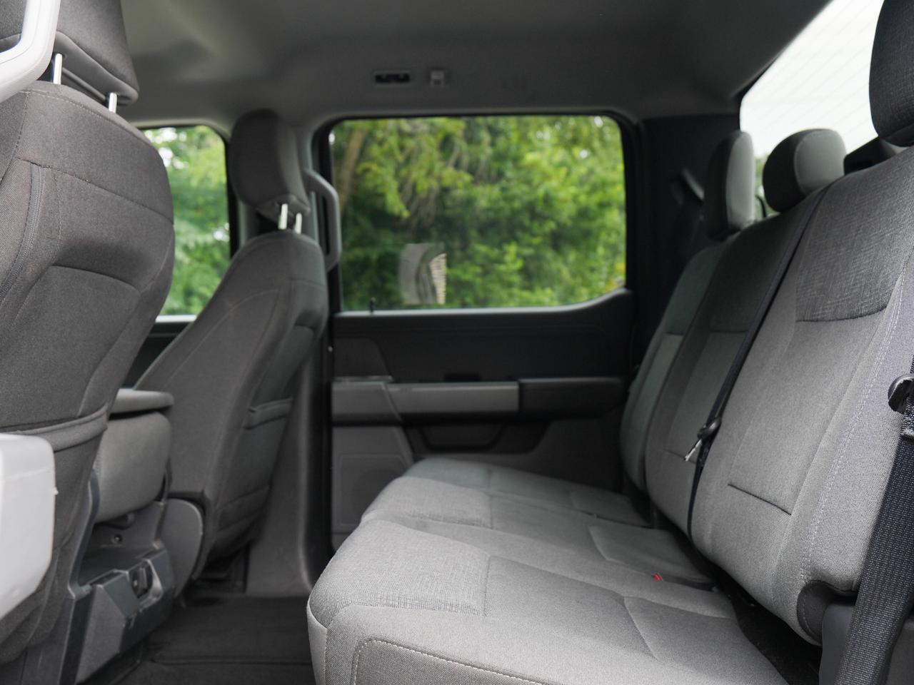 2024 Ford F-150 XLT Photo