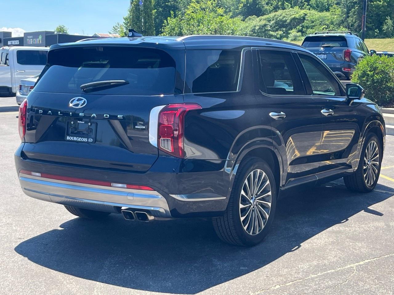 2025 Hyundai PALISADE Ultimate Calligraphy 7-Passenger AWD Photo