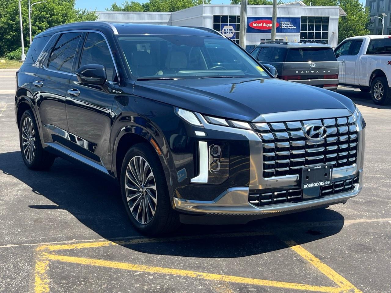 2025 Hyundai PALISADE Ultimate Calligraphy 7-Passenger AWD Photo