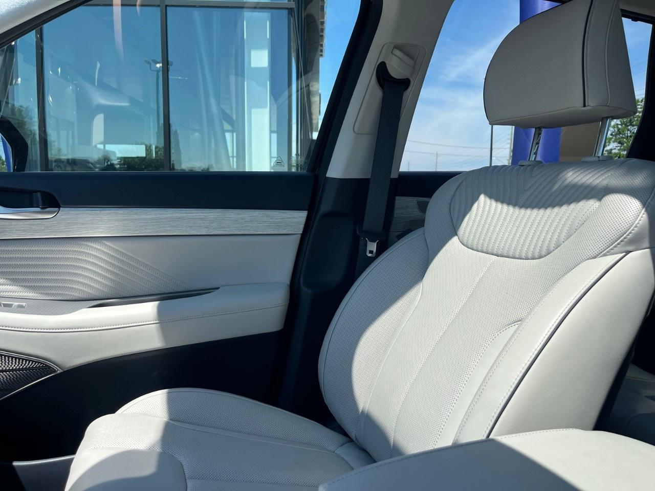 2025 Hyundai PALISADE Ultimate Calligraphy 7-Passenger AWD Photo