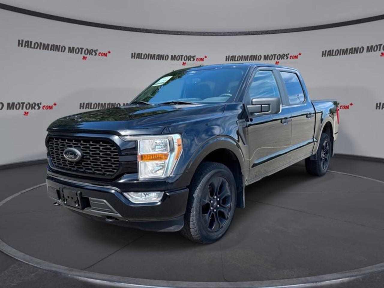 2022 Ford F-150 XL SuperCrew 5.5' Box 4WD | STX PACKAGE | FX4 | Photo0