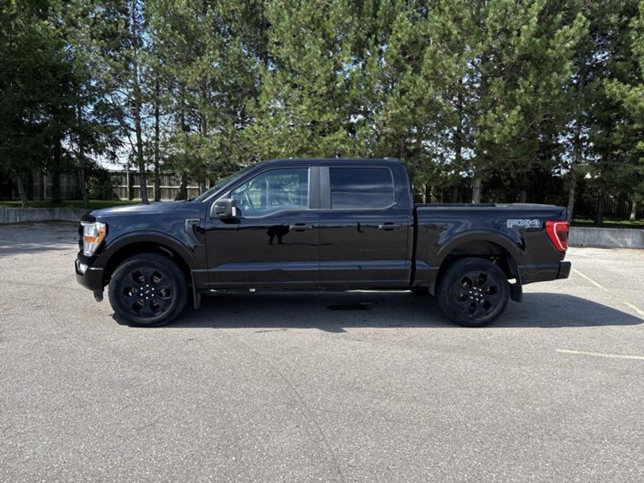 2022 Ford F-150 XL SuperCrew 5.5' Box 4WD | STX PACKAGE | FX4 | Photo
