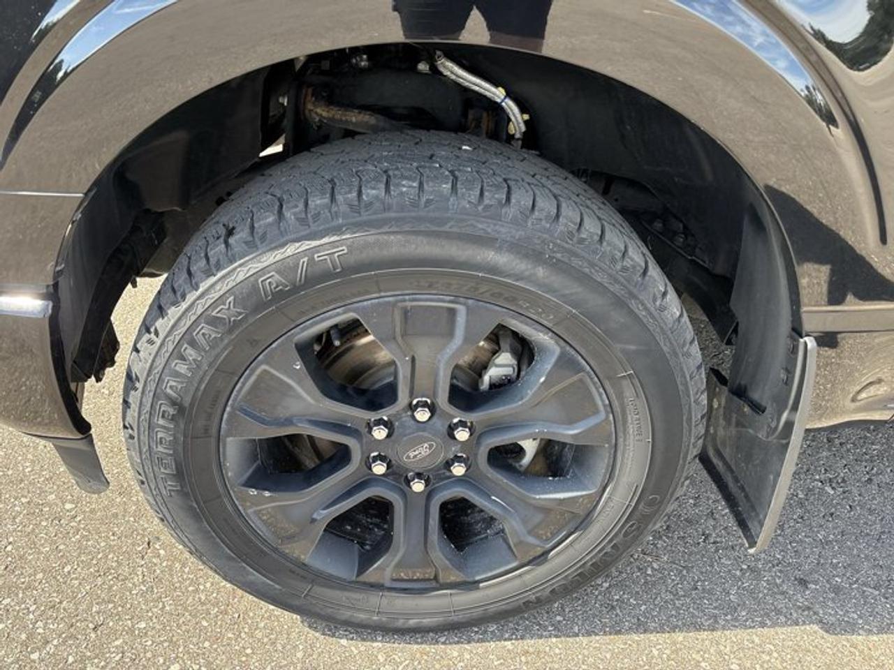2022 Ford F-150 XL SuperCrew 5.5' Box 4WD | STX PACKAGE | FX4 | Photo