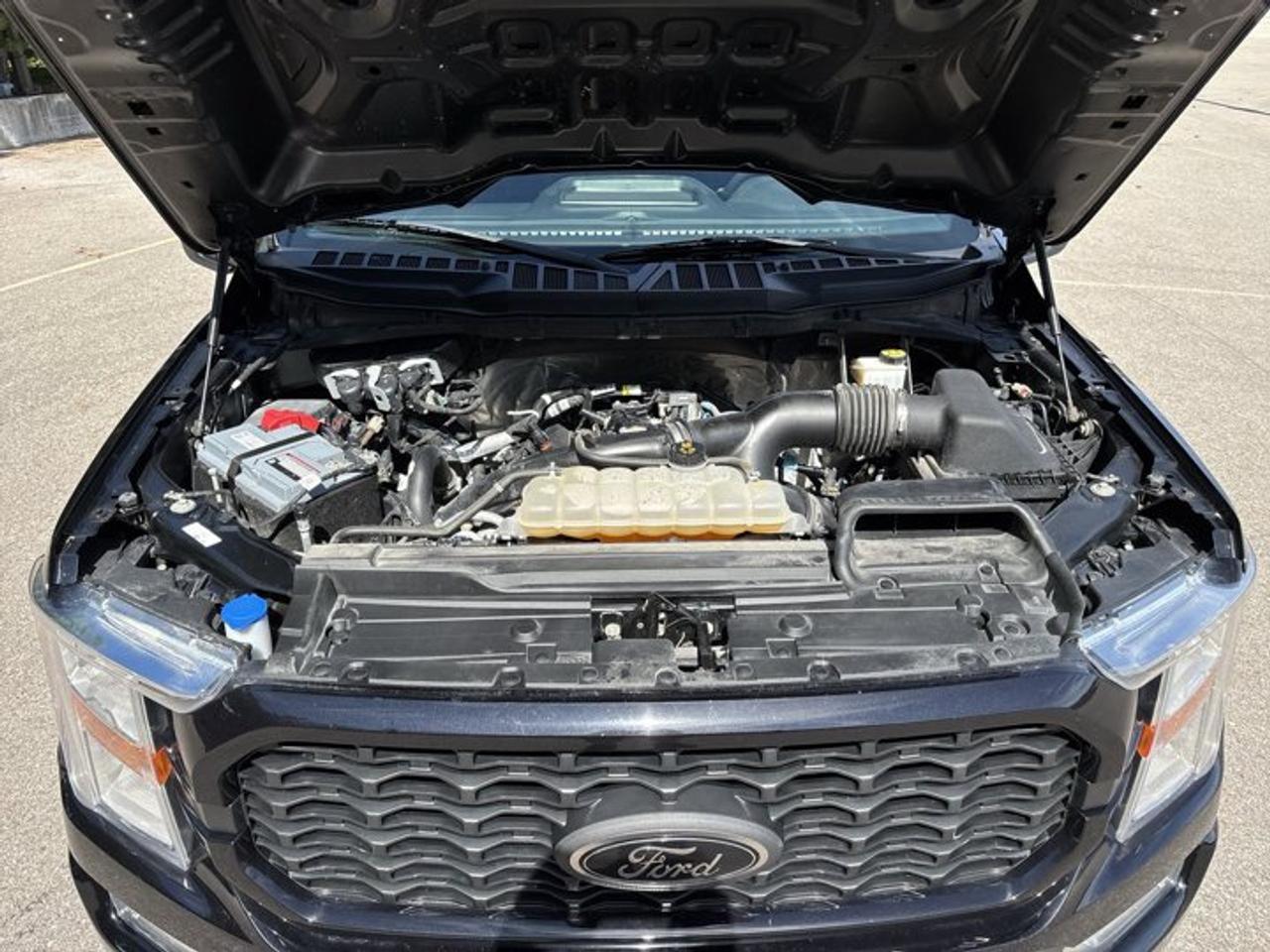 2022 Ford F-150 XL SuperCrew 5.5' Box 4WD | STX PACKAGE | FX4 | Photo
