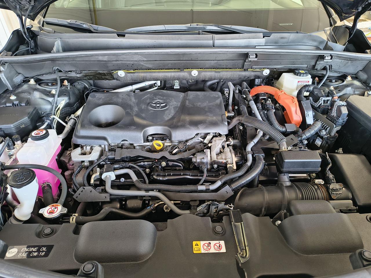 2022 Toyota Venza XLE Photo