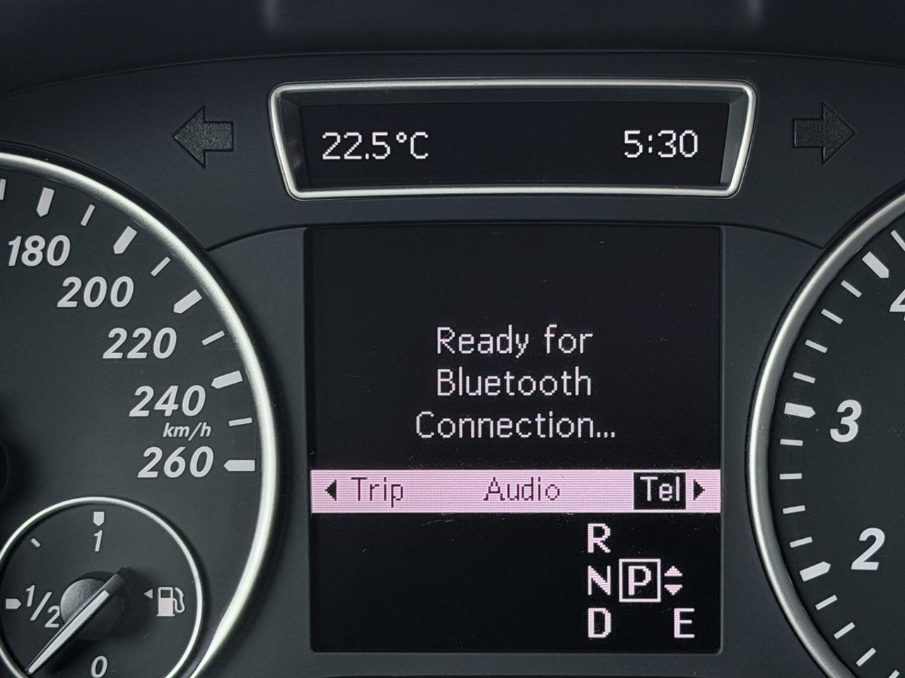 2014 Mercedes-Benz B-Class B250 Sports Tourer Photo
