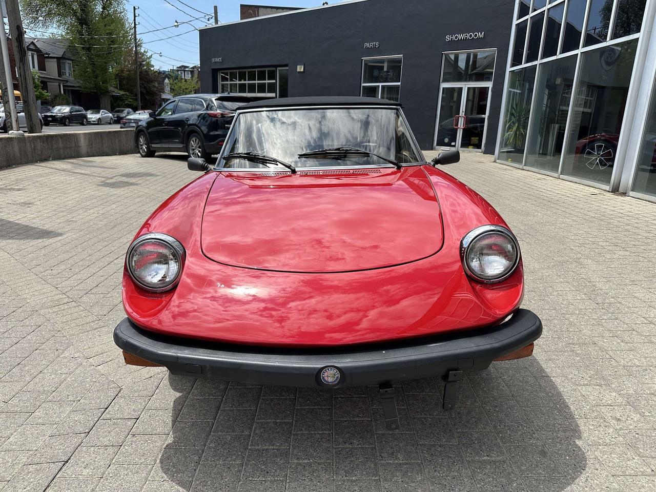 1979 Alfa Romeo Spider  Photo1