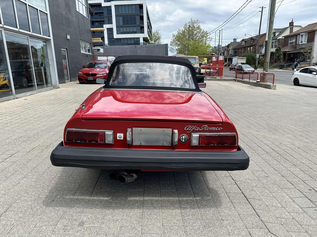 1979 Alfa Romeo Spider  Photo