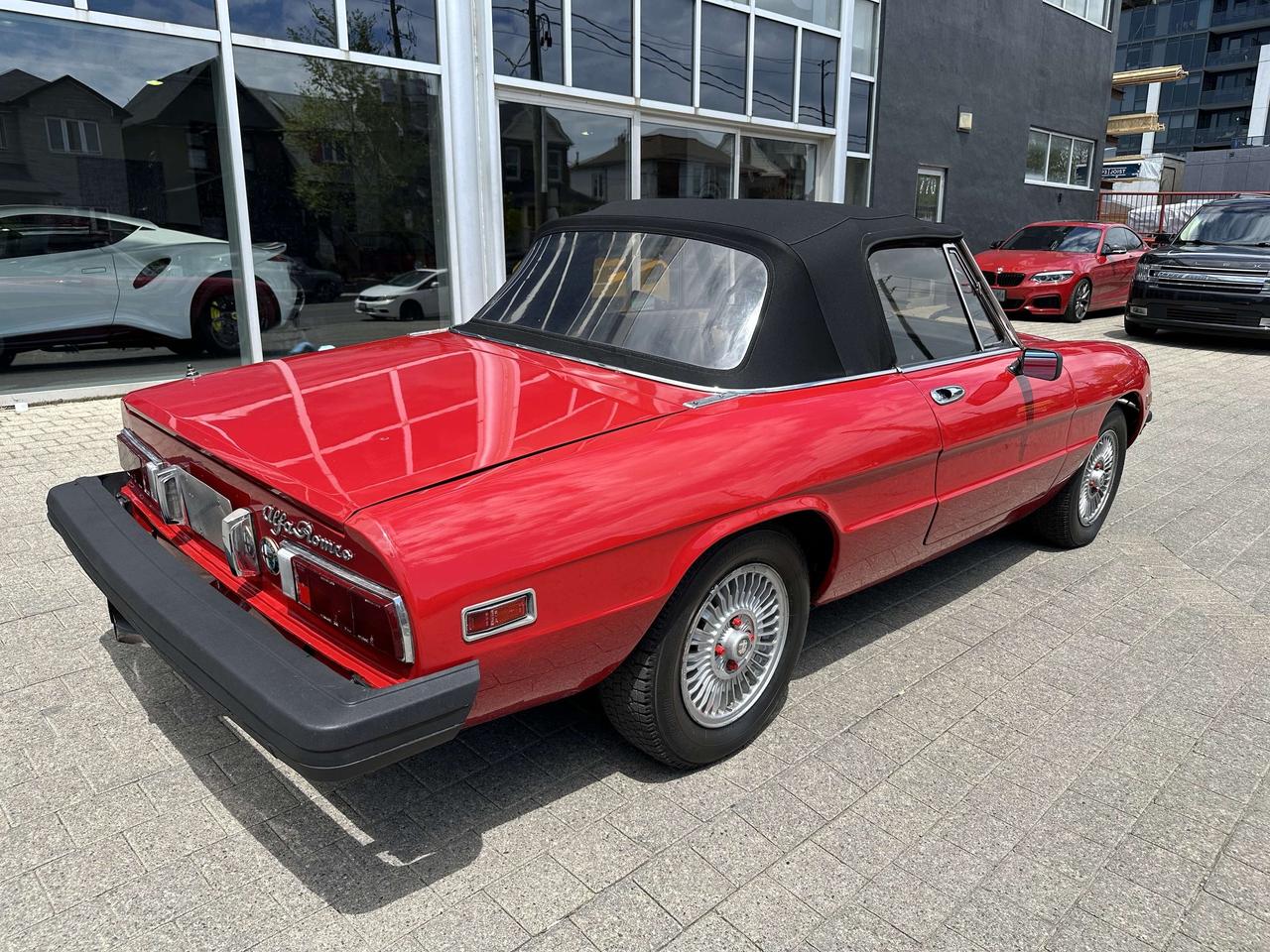 1979 Alfa Romeo Spider  Photo