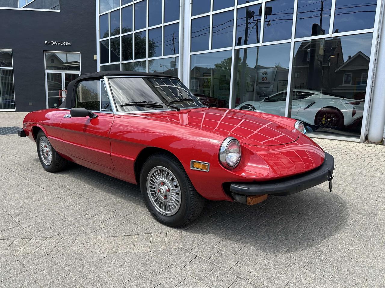 1979 Alfa Romeo Spider  Photo