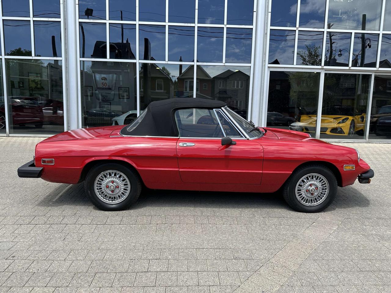 1979 Alfa Romeo Spider  Photo