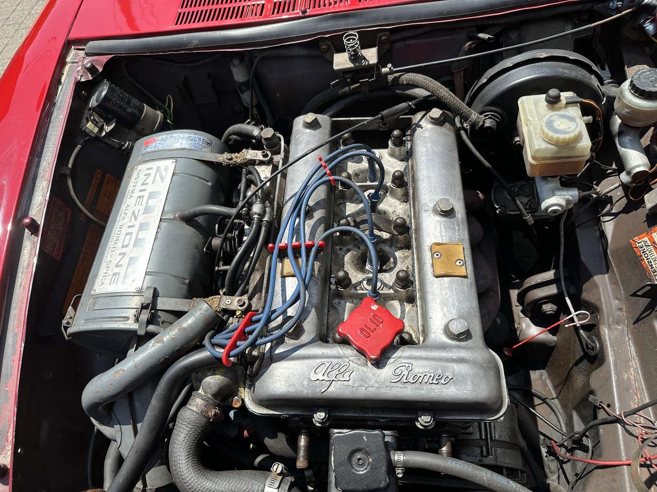 1979 Alfa Romeo Spider  Photo