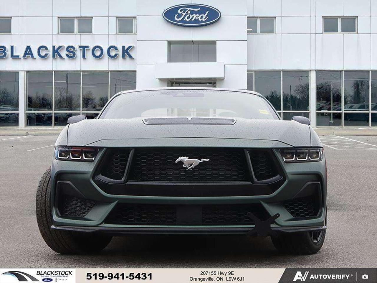 2024 Ford Mustang GT Fastback Photo
