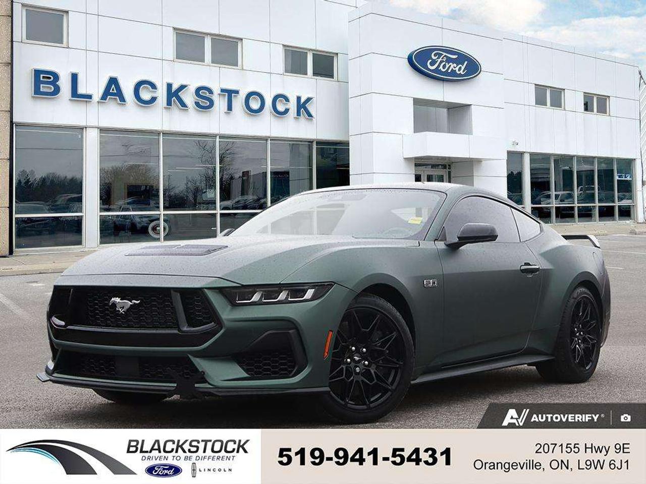 2024 Ford Mustang GT Fastback Photo0