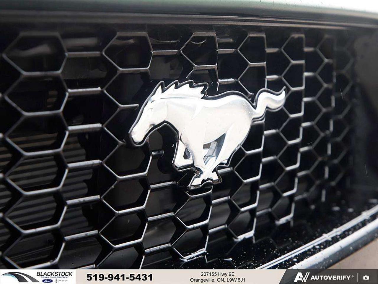 2024 Ford Mustang GT Fastback Photo