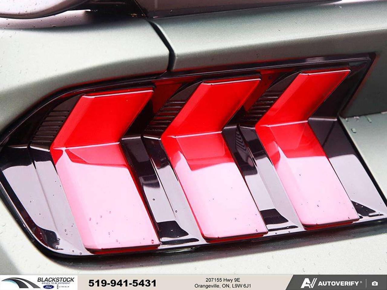 2024 Ford Mustang GT Fastback Photo