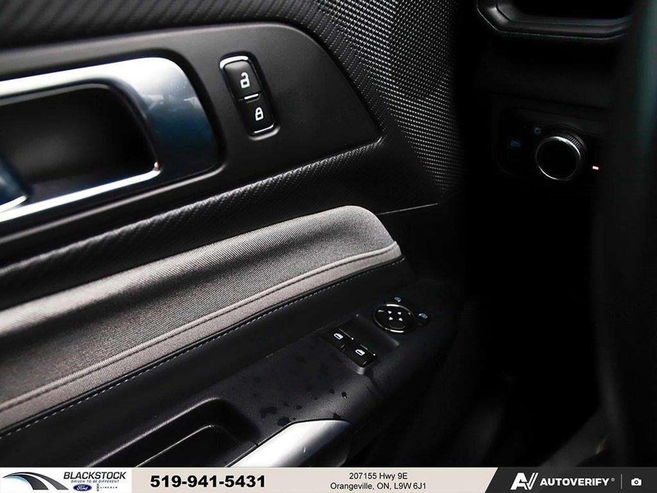 2024 Ford Mustang GT Fastback Photo