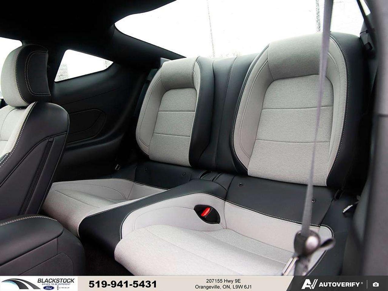 2024 Ford Mustang GT Fastback Photo