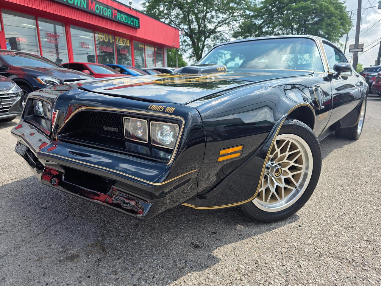 1978 Pontiac Trans Am 400Ci Manual Photo1