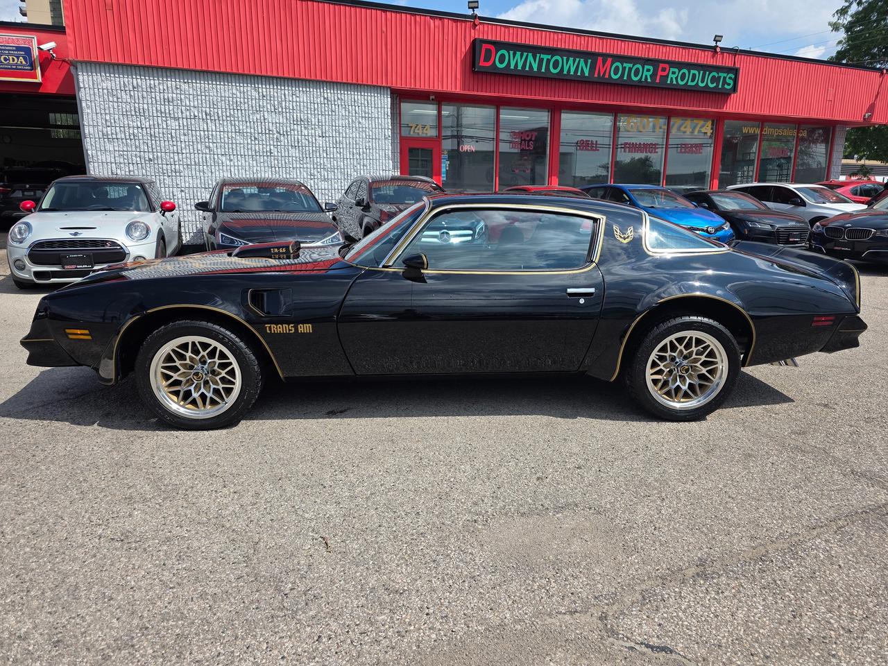 1978 Pontiac Trans Am 400Ci Manual Photo2