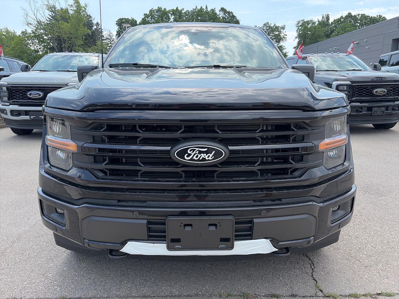 2026 Ford F-150 XLT 4WD SuperCrew 5.5' Box 303A Photo1