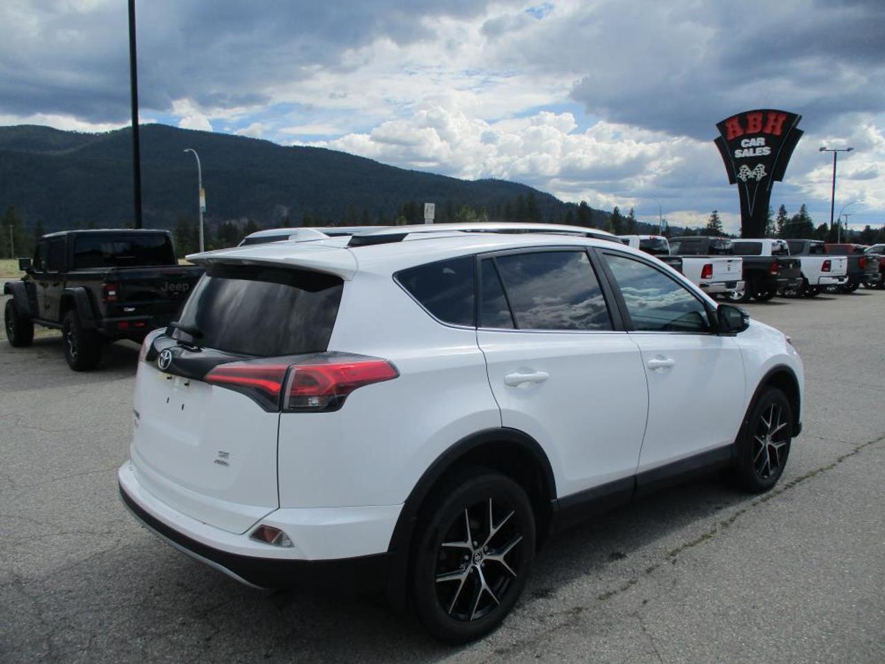 2018 Toyota RAV4 SE AWD Photo