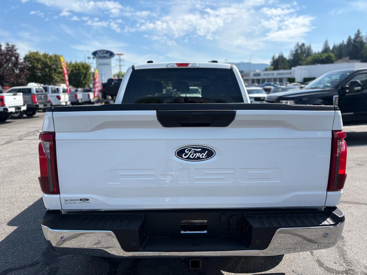 2025 Ford F-150 XLT Photo3