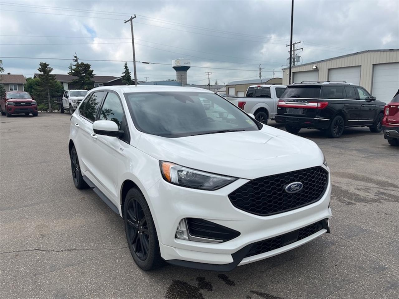 2021 Ford Edge  Photo2