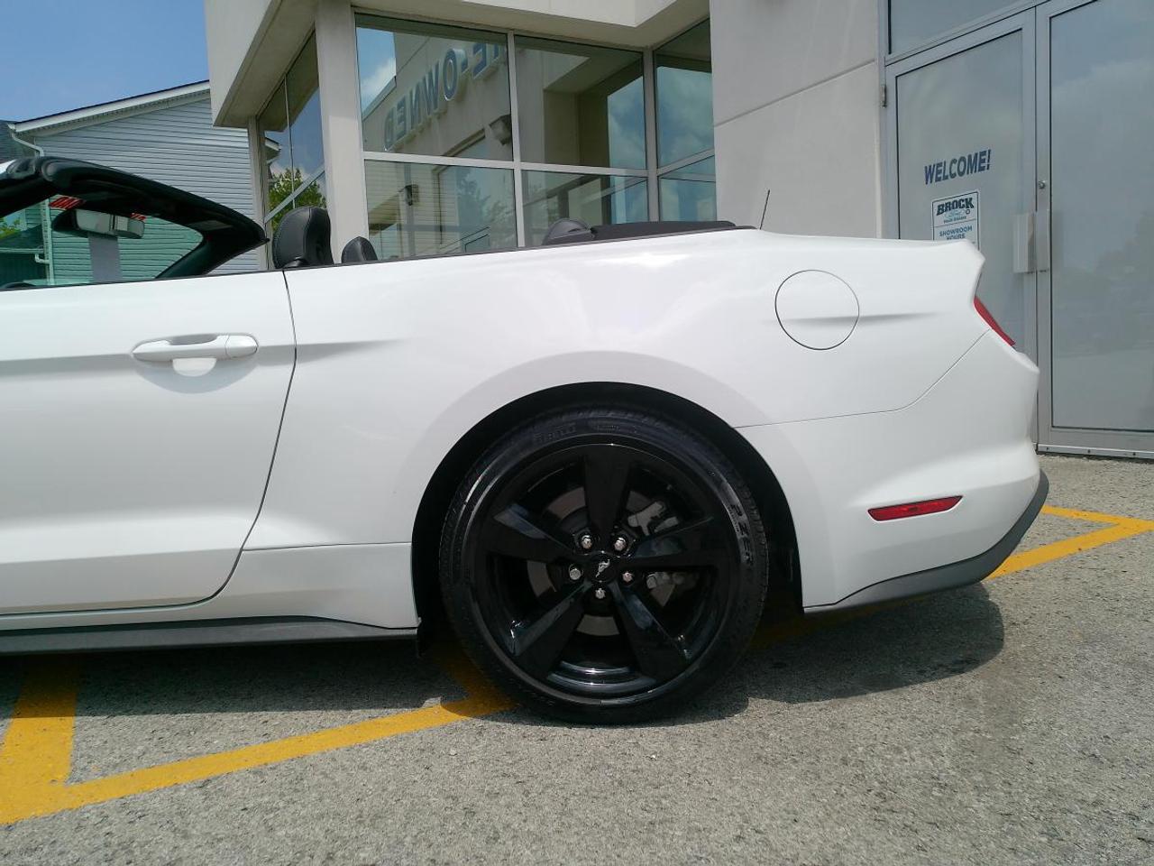 2022 Ford Mustang GT Premium Convertible Photo