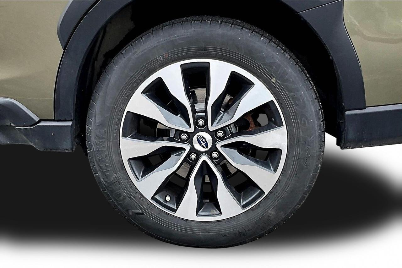 2024 Subaru Outback  Photo