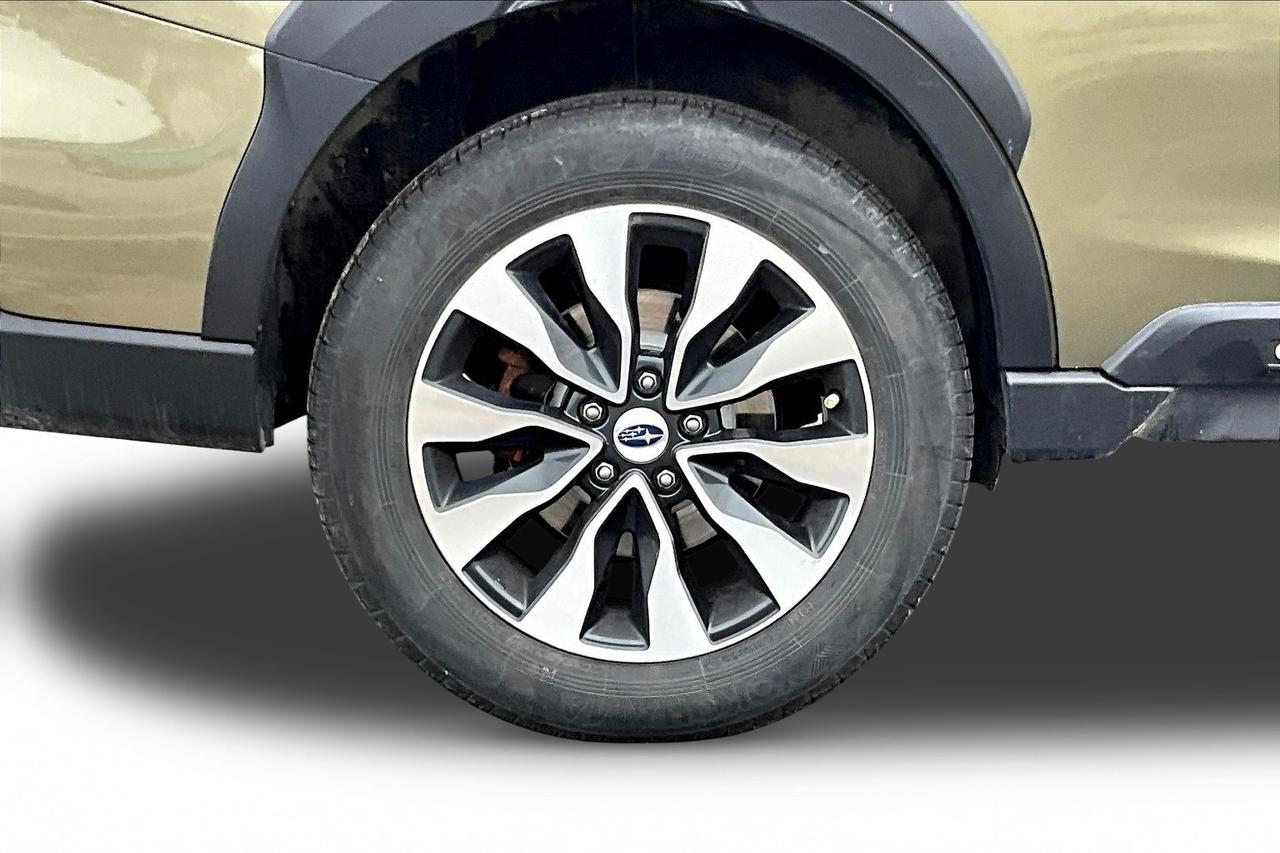 2024 Subaru Outback  Photo