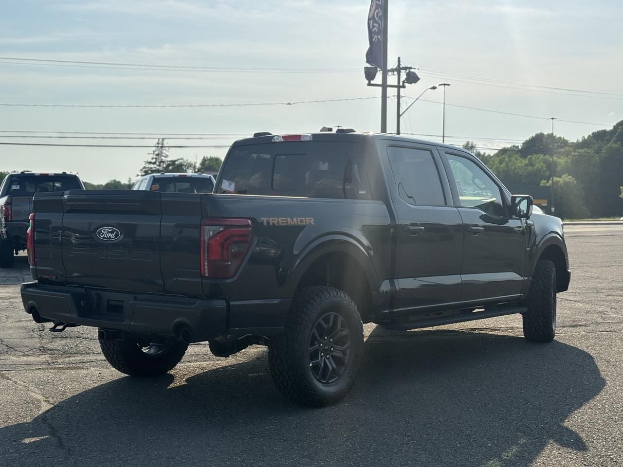 2026 Ford F-150 Tremor 4WD SuperCrew 5.5' Box Photo3