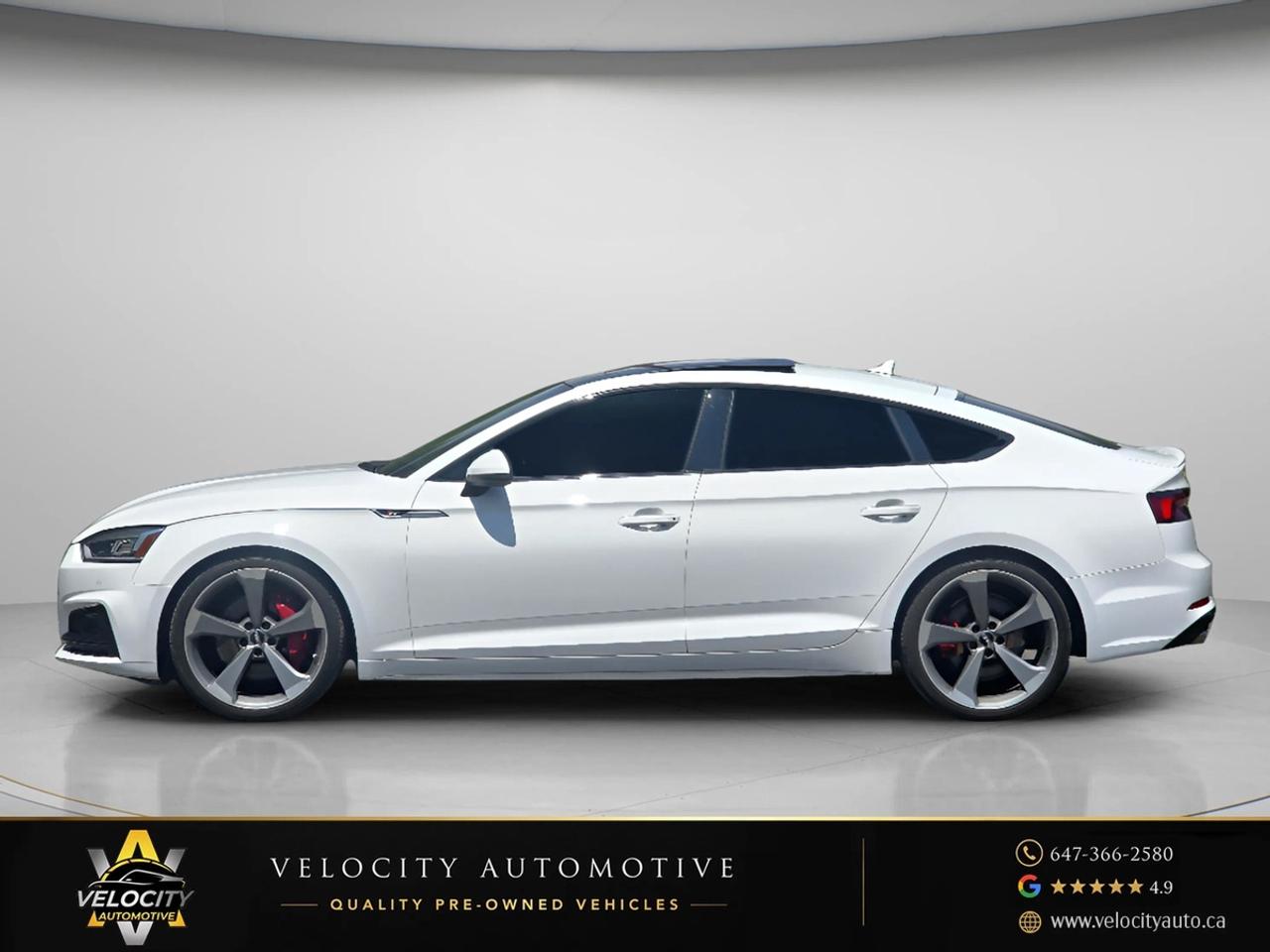2019 Audi S5 Technik Sportback | Clean Carfax! Photo5