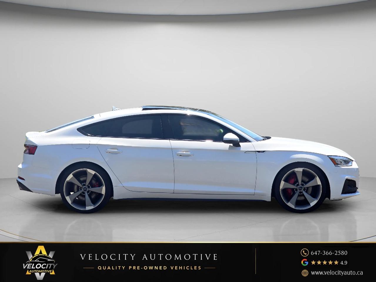 2019 Audi S5 Technik Sportback | Clean Carfax! Photo