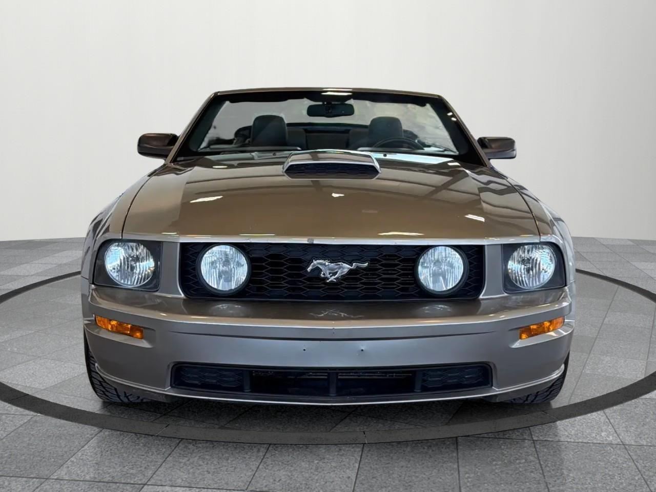 2008 Ford Mustang GT 2Dr Convertible Photo