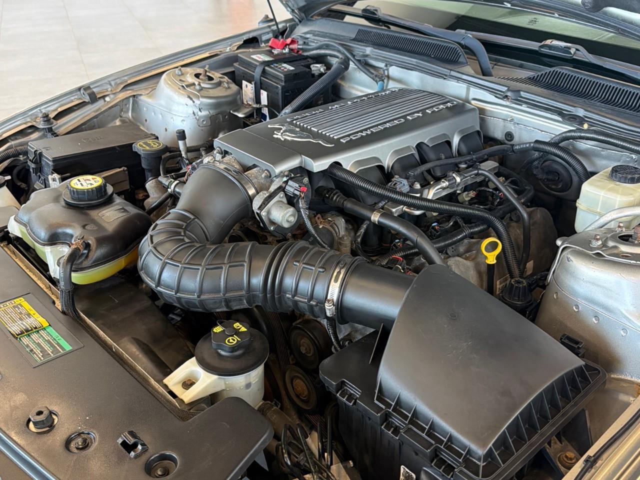 2008 Ford Mustang GT 2Dr Convertible Photo