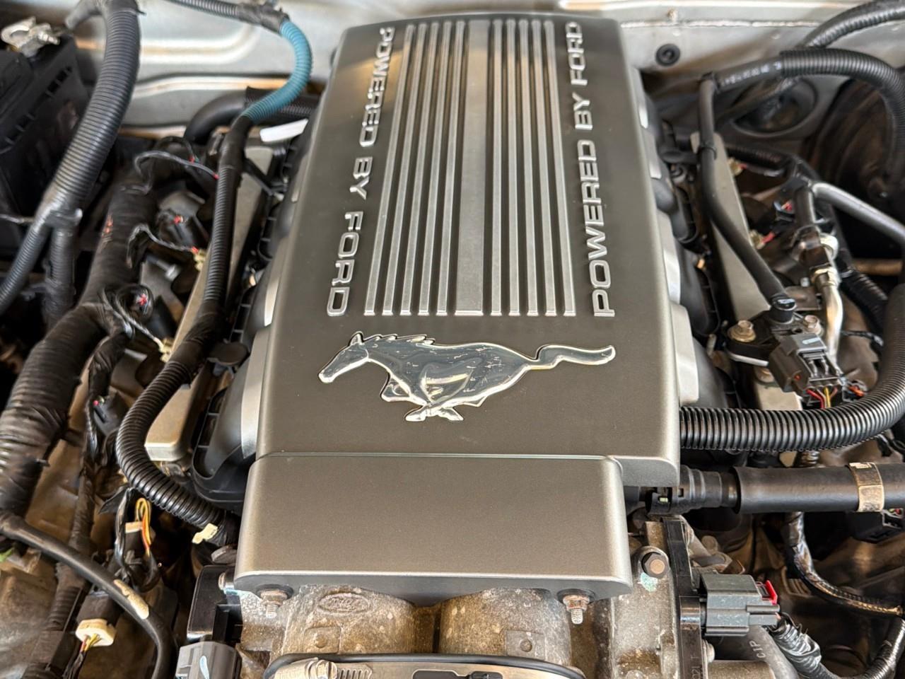 2008 Ford Mustang GT 2Dr Convertible Photo
