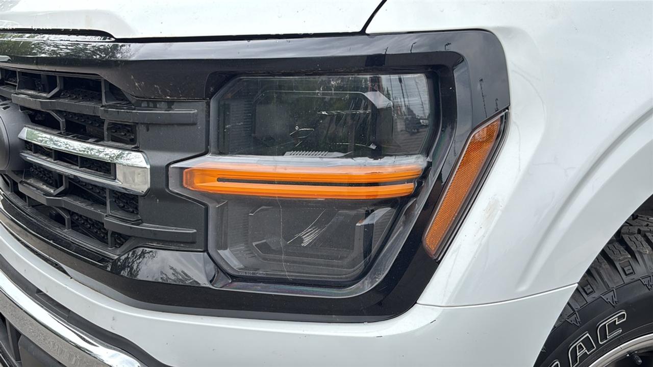 2024 Ford F-150 XLT 3.5L V6 EcoBoost Photo