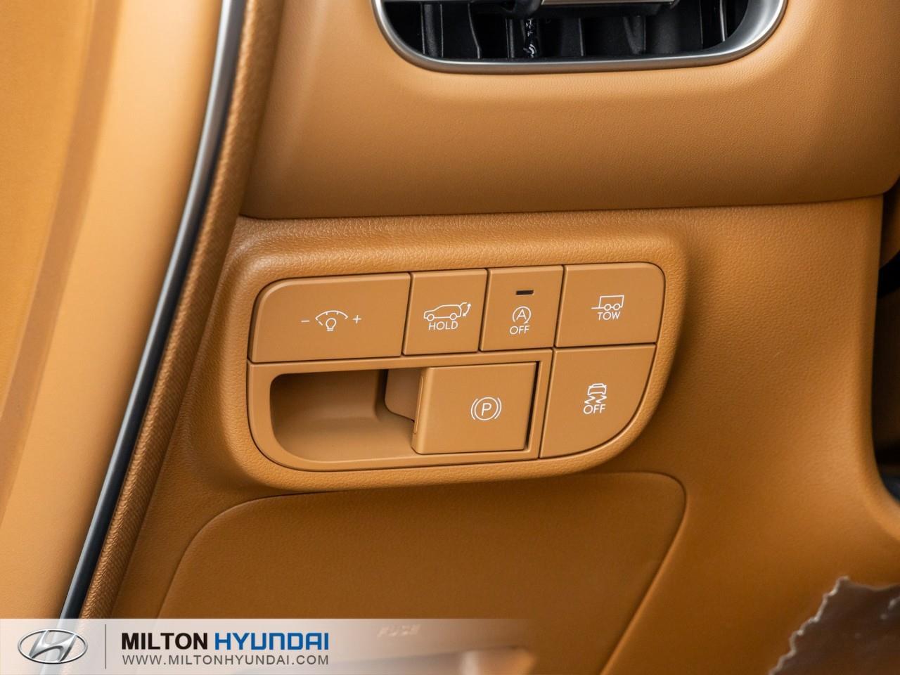 2026 Hyundai PALISADE Ultimate Calligraphy 4dr All-Wheel Drive Photo