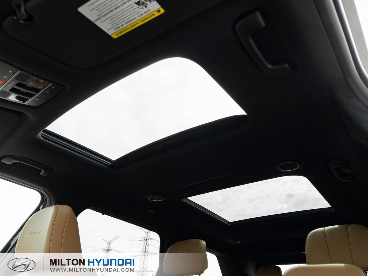2026 Hyundai PALISADE Ultimate Calligraphy 4dr All-Wheel Drive Photo