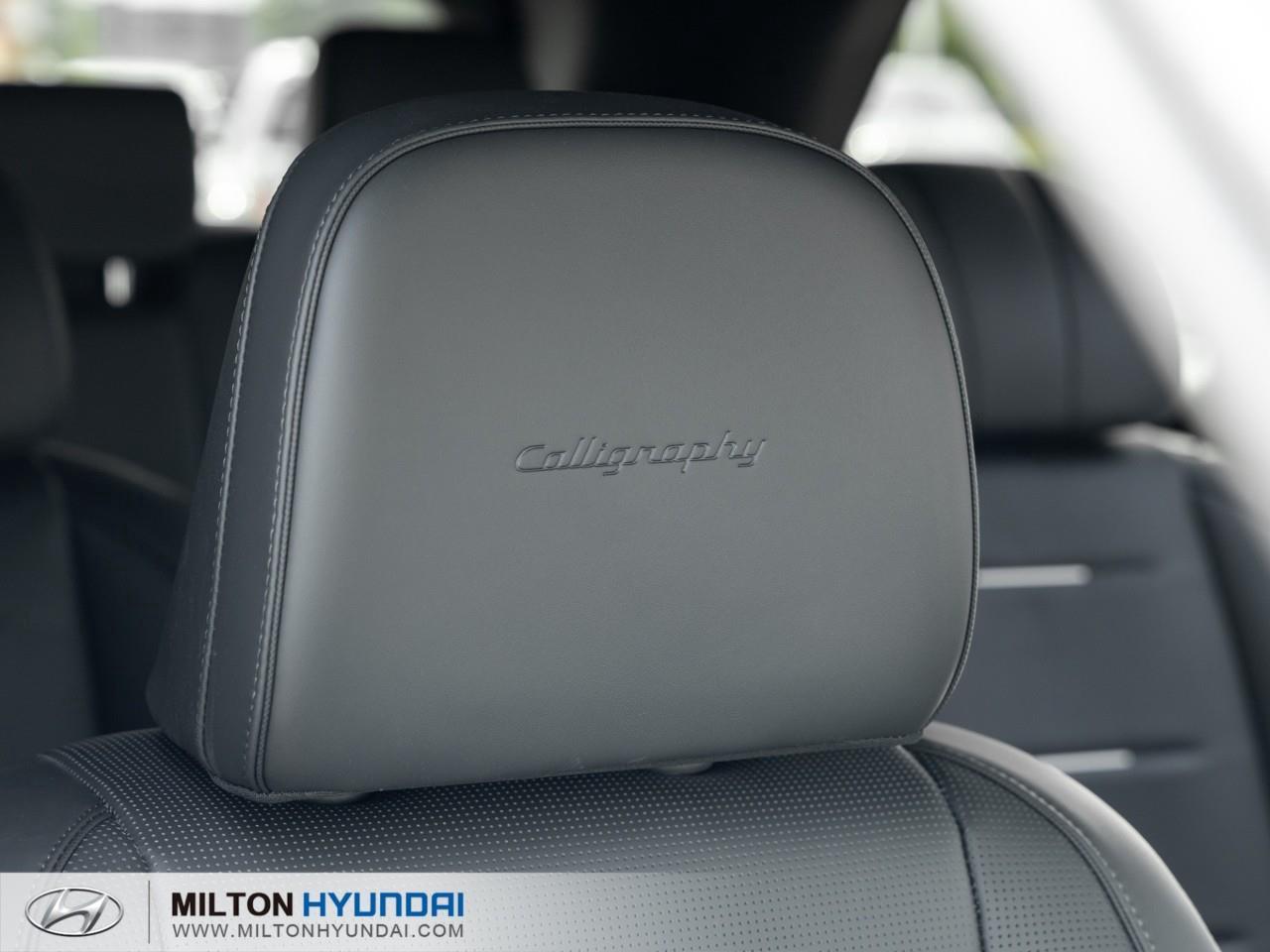 2026 Hyundai PALISADE Ultimate Calligraphy 4dr All-Wheel Drive Photo