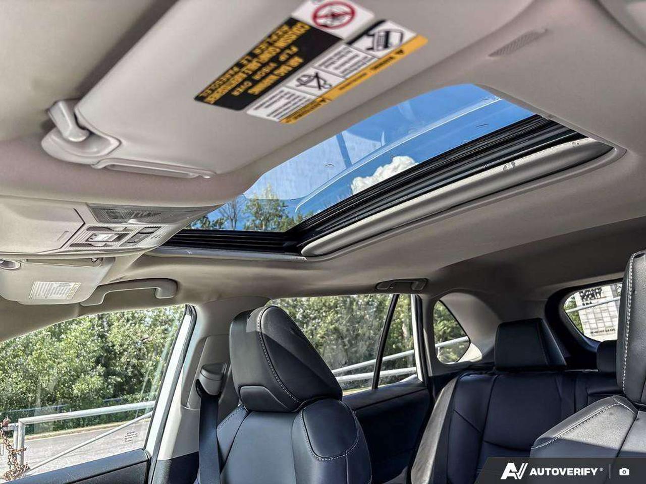 2025 Toyota RAV4 XLE Photo