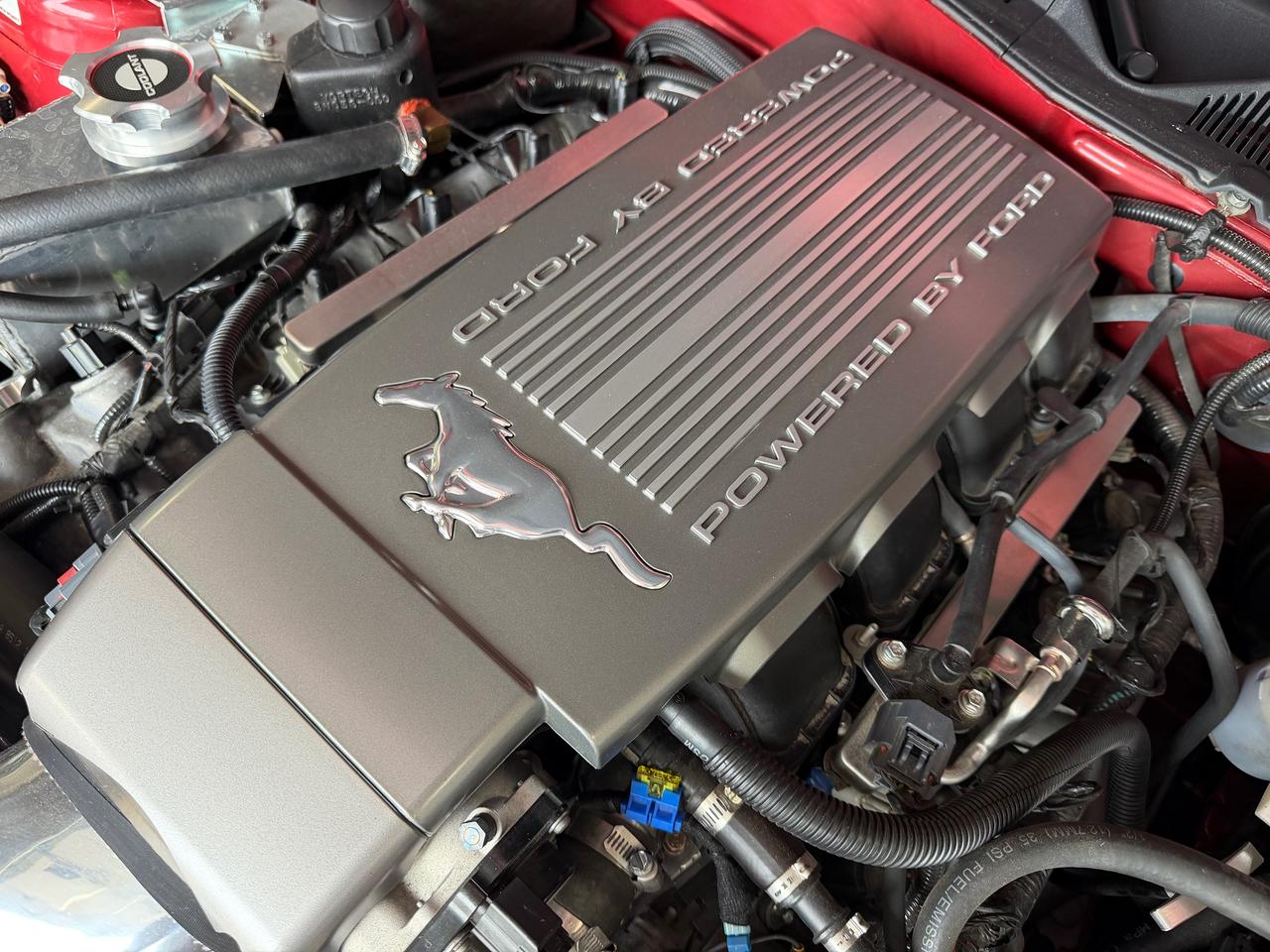 2010 Ford Mustang GT | SUPERCAHRGED V8 |MANUAL|2400KM|500 HORSEPOWER Photo