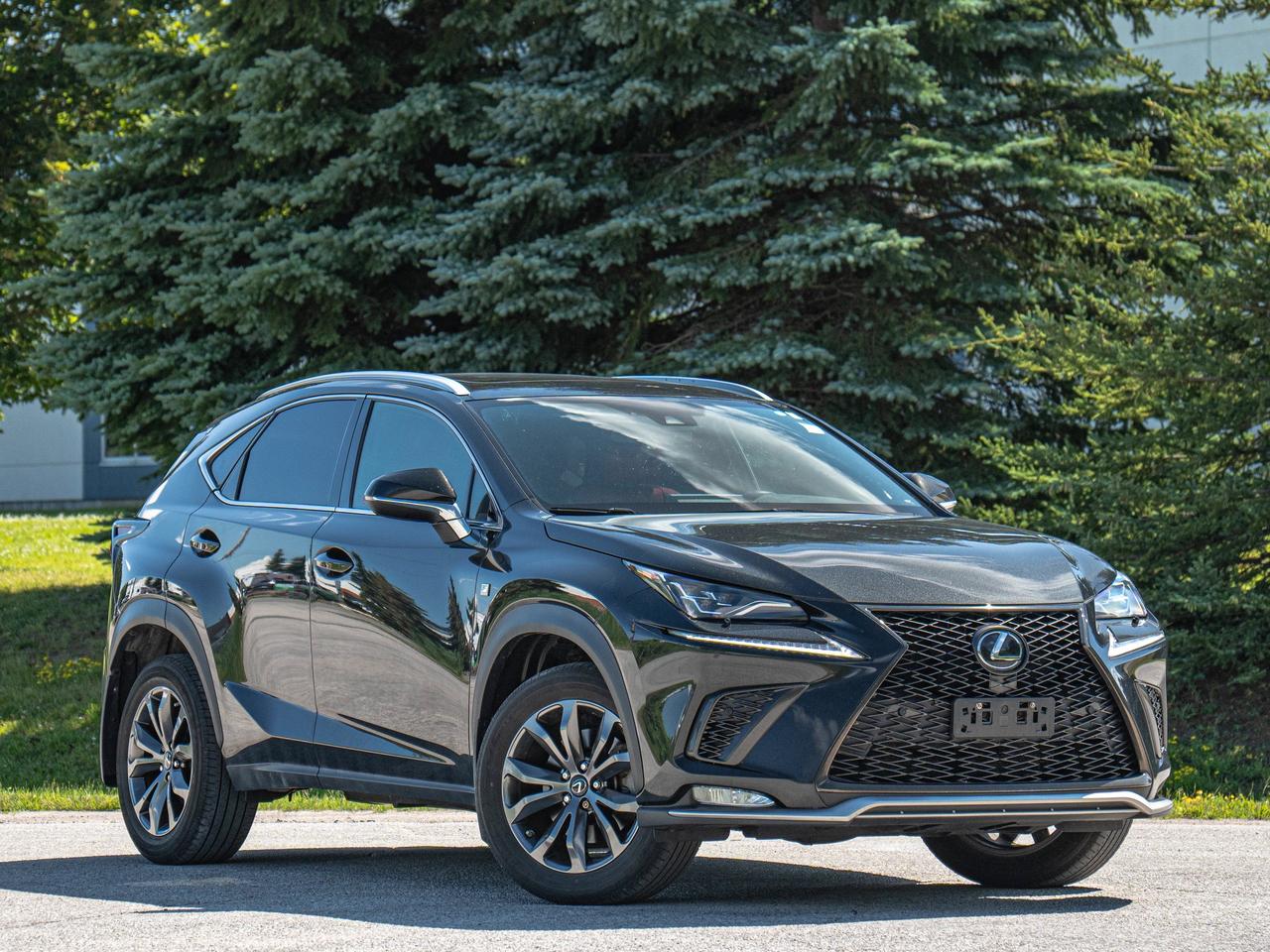 2021 Lexus NX 300 Photo