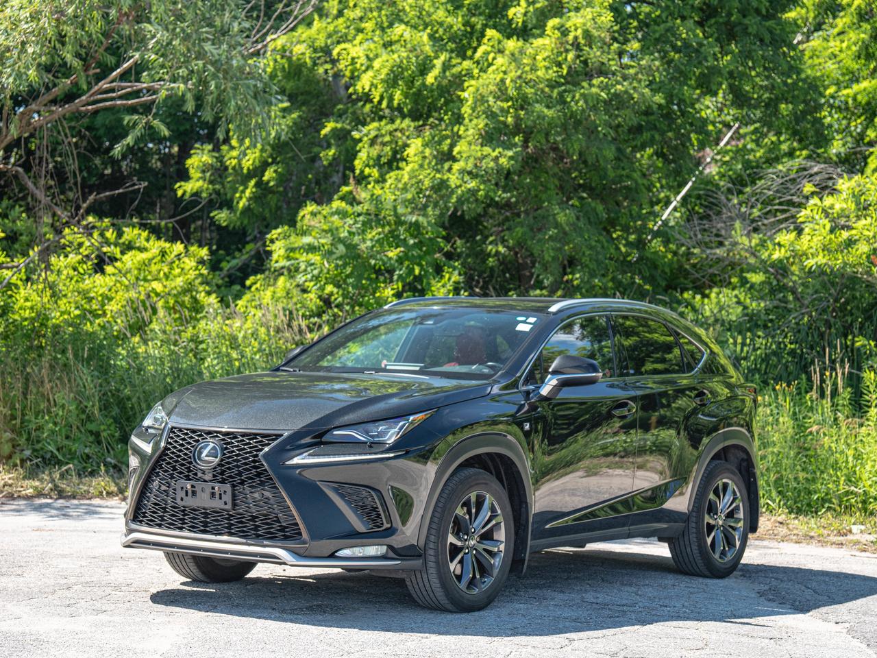 2021 Lexus NX 300 Photo