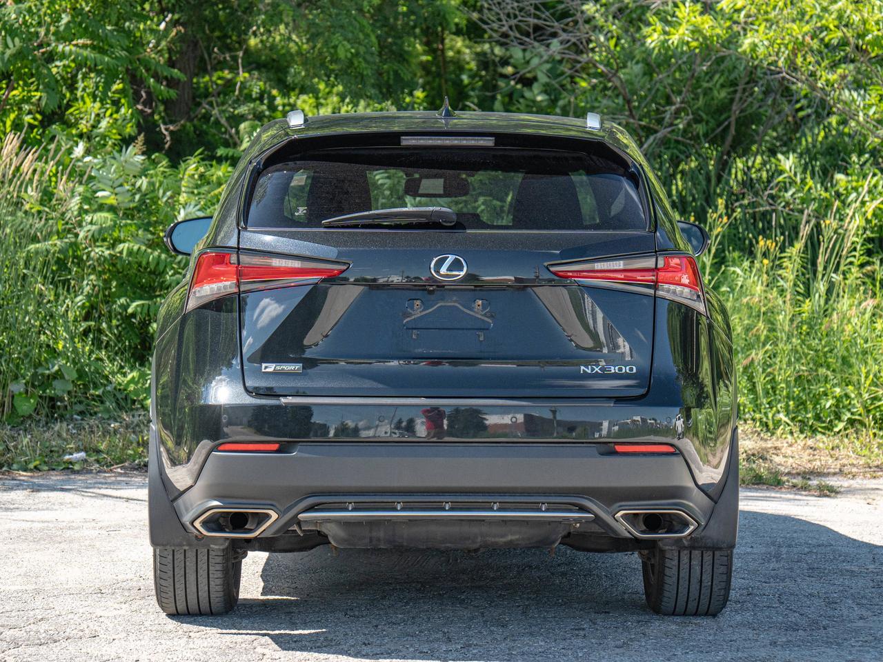 2021 Lexus NX 300 Photo