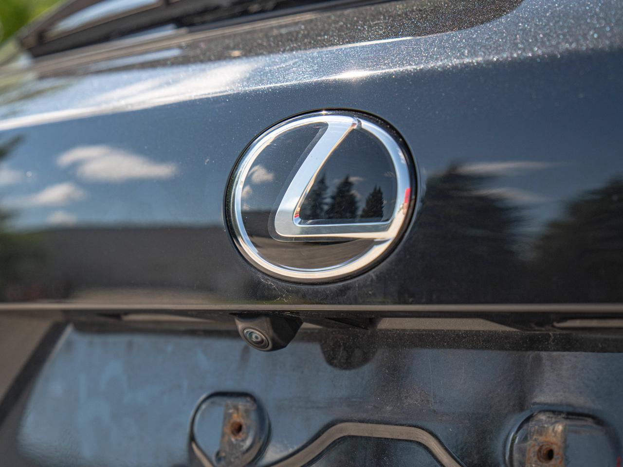 2021 Lexus NX 300 Photo