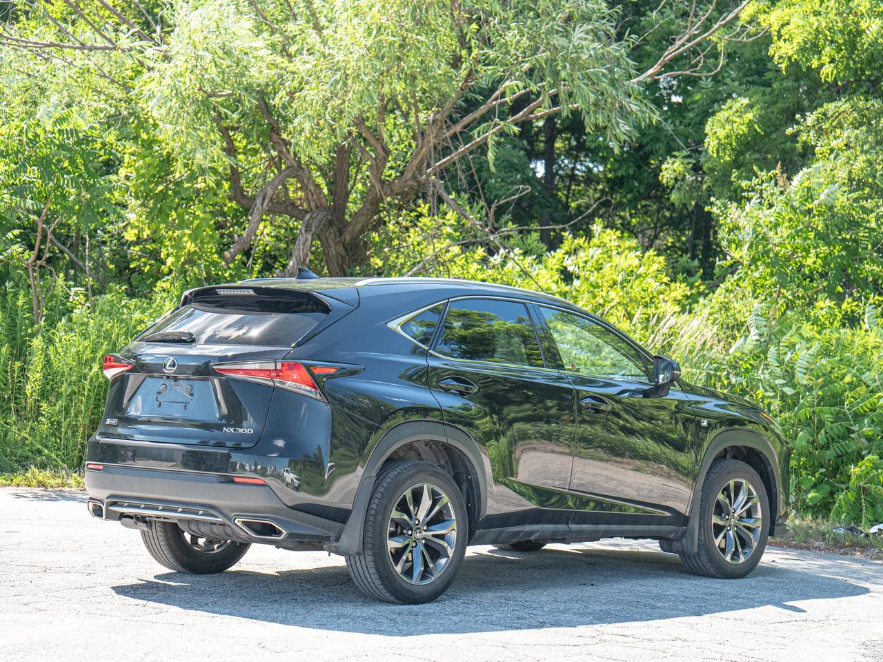 2021 Lexus NX 300 Photo